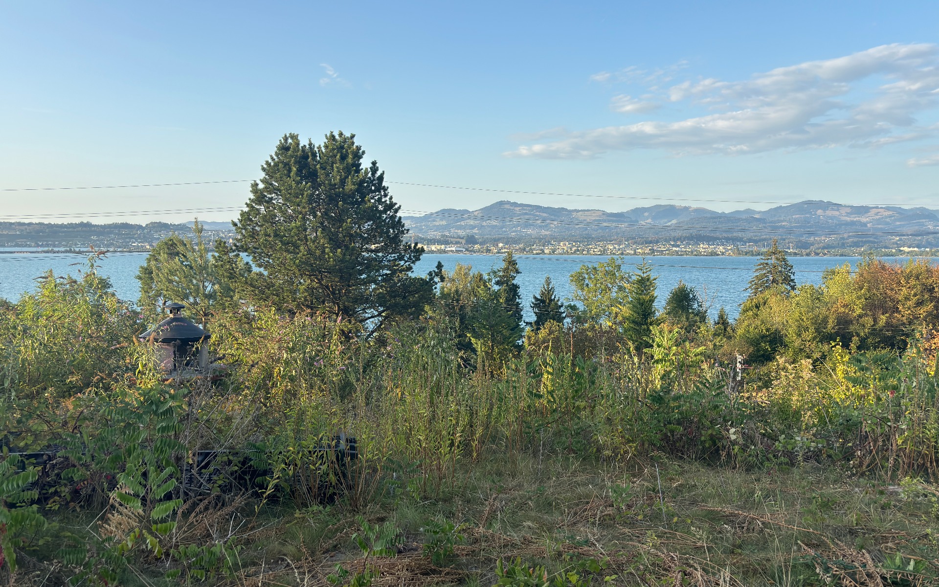 Blick vom Grundstück auf Erdgeschossniveau über die Vegetation zum Zürichsee und zum gegenüberliegenden Ufer