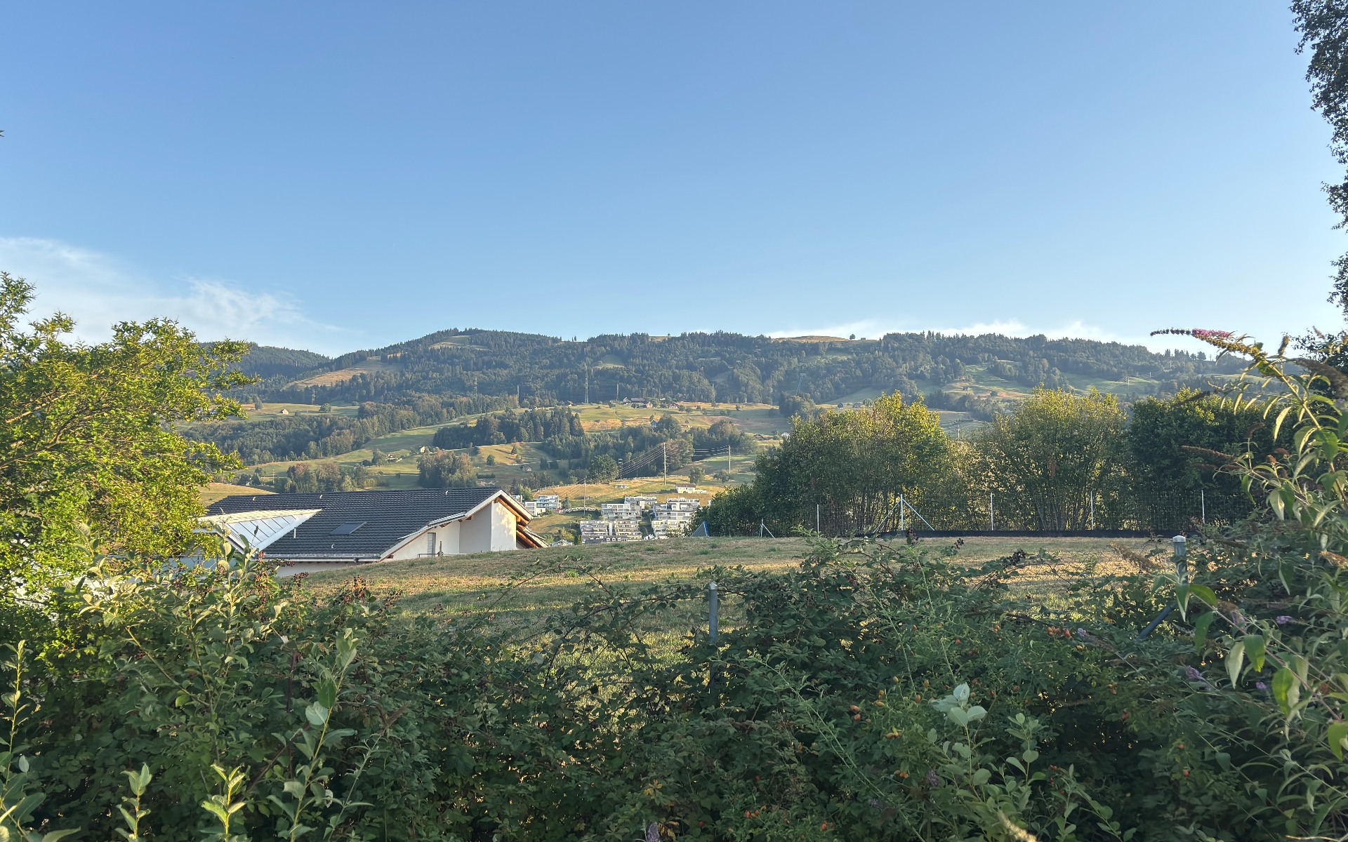 Aktueller Blick von der rückwärtigen Grundstücksseite über Grünraum und Nachbarschaft zum bewaldeten Hang